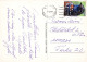 FLORES Vintage Tarjeta Postal CPSM #PBZ819.ES - Fleurs