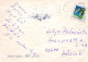 FLORES Vintage Tarjeta Postal CPSM #PBZ455.ES - Fleurs