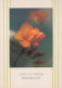FLORES Vintage Tarjeta Postal CPSM #PAR567.ES - Fleurs