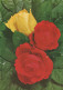 FLORES Vintage Tarjeta Postal CPSM #PAR987.ES - Fleurs