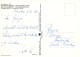 FLORES Vintage Tarjeta Postal CPSM #PAR387.ES - Fleurs