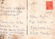 FLORES Vintage Tarjeta Postal CPSM #PAR146.ES - Fleurs
