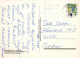 PÁJARO Animales Vintage Tarjeta Postal CPSM #PAM756.ES - Vögel