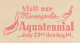 Meter Cut USA 1948 Minneapolis Aquatennial 1948 - Other & Unclassified