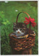 Postal Stationery Sweden Cat - Kitten - Other & Unclassified