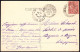 31-0014 - Carte Postale HAUTE-GARONNE (31) - TOULOUSE -  30 LF Statue Riquet, Ecole Vétérinaire Et Obélisque De 1814 - Toulouse