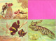 Delcampe - Lot 7 Cartes Publicitaires Laboratoire SOCA Monte-Carlo Poissons Illustrées Par Camia + Beaux Timbres De Monaco 1956 - Oceanografisch Museum