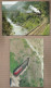 Delcampe - LOT 20 CPSM TRAINS CHEMIN DE FER - GROS PLANS  Dont 64 06 30 GARD 07 ARDECHE VIVARAIS AUTOS COUCHETTES - Trenes