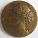 Médaille En Bronze. Grenoble 1914. 23eme Fête Fédérale Du Sud-Est. - Autres & Non Classés