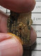 2822  Pin's Pins / Beau Et Rare /  MARQUES / APPAREIL NON IDENTIFIE FISCHER - Trademarks