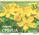 Hypericum Perforatum - St John's-wort - Herbal Medical Drug FLOWER - 2020 SERBIA - Used Block Of Four - Serbien