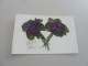 Grenoble - Violettes En Bouquet - Bonne Fête - Série 2137.10. - Yt 137 - Editions C.t. - Année 1910 - - Fleurs