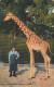 CPA Basel-Zoologischer Garten-Girafle-Timbre     L2891 - Basilea