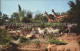 11766866 Disneyland_California African Veldt Gazelles Gnus Zebra Lions Giraffes  - Autres & Non Classés