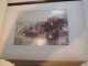 Delcampe - Album Photo In-4 De 36 Photographies [circa 1870-1880] 16X10cm - Krieg, Militär