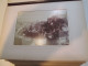 Delcampe - Album Photo In-4 De 36 Photographies [circa 1870-1880] 16X10cm - Guerre, Militaire