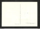 VATICAN - POSTE VATICANE - Carte MAXIMUM 1955 - PIE XII - Maximumkaarten
