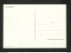 VATICAN - POSTE VATICANE - Carte MAXIMUM 1957 - PIE XII - Cartes-Maximum (CM)