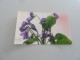 Saint-Jean-de-Sixt - Violettes - 239 - Editions Non Définies - Année 1931 - - Fleurs