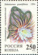 Delcampe - 1994 356 Russia Cactuses MNH - Unused Stamps