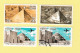 Egypte Lot De 70 Timbres - Other & Unclassified