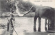 Sri Lanka - Elephant Bathing - Publ. Messageries Maritimes  - Sri Lanka (Ceilán)