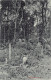 Singapore - In The Jungle - Publ. Max H. Hilckles 190 - Singapur