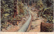 Malaysia - Pipe Line For Hydraulic Mining - Publ. A. Kaulfuss  - Malesia