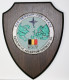 Militaria-BE-Plaque Partnership For Peace, Cooperative Adventure Express, March 1996 – OTAN – NATO - Other & Unclassified