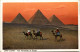 Cairo - The Pyramids Of Gizeh - El Cairo