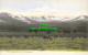 R600471 The Cairngorms From Glenmore. G. W. W - Welt