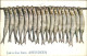 11750790 Aberdeen City Fischfang Tucks Oilette No. 9373 Aberdeen City - Autres & Non Classés