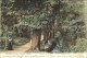11750703 Newton Abbot Bradley Woods Teignbridge - Sonstige & Ohne Zuordnung