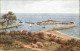 11750553 Lyme Regis View From Holmbush Sheep Harbour Salmon Series Kuenstlerkart - Autres & Non Classés