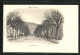 CPA Remiremont, Avenue Carnot  - Remiremont