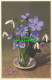 R603334 Galanthus Nivalis. E. Gyger - Wereld