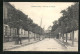 CPA Froissy, L`Avenue Des Tilleuls  - Froissy
