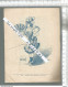 PG / Vintage // Programme Ancien THEATRE CHATEAU D'EAU 1902  NAPOLEON  Art Nouveau - Programs