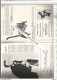 XC / Vintage // PROGRAMME ALLOTRIA CIRQUE 1957  HAMBURG Germany ALLEMAGNE Cleona FREED - Programmes