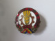 Insigne Roumanie:Le 2eme Congres Des Cooper.de Consom.1954/Romanian Badge:2nd Congress Of Consumer Cooperatives 1954 - Associations