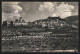Cartolina Assisi, Panorama Mit Olivenanbau  - Autres & Non Classés