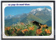 AU PAYS DU MT BLANC   // Lot D  28 - Veyrier