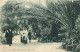  MAROC   CASABLANCA  Jardin Public - Casablanca