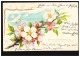Blumen-AK Blumensprache - Blütenzweig Mit Brieftauben, EINÖLLEN 12.3.1903 - Autres & Non Classés