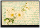 Blumen-AK Margeriten, STUTTGART Nr. 8 - 23.7.1908 Nach SIGMARINGEN 23.7.08   - Otros & Sin Clasificación