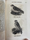 Delcampe - The System Of Natural History. VOL. I Bis IV KOMPLETT. - Animales