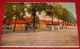 LEOPOLDSBURG - Lot De 4 Cartes : Camp De Beverloo : Logement Troupes, Baraques , Plaine De Jeux, Monument Des Mexicains - Leopoldsburg (Beverloo Camp)