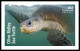 USA 2024 Protect Sea Turtles,Oilve Ridley,Animal, Imperf NDC, Set 6 MNH (**) - Ongebruikt