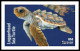 USA 2024 Protect Sea Turtles,Oilve Ridley,Animal, Imperf NDC, Set 6 MNH (**) - Unused Stamps