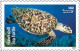 USA 2024 Protect Sea Turtles,Oilve Ridley,Animal, Perforated ,Set Of 6v, MNH (**) - Unused Stamps